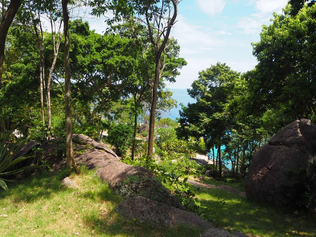 Ao Muong Beach Resort Ko Tao Zewnętrze zdjęcie